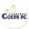 Carryduff Colts IV's logo